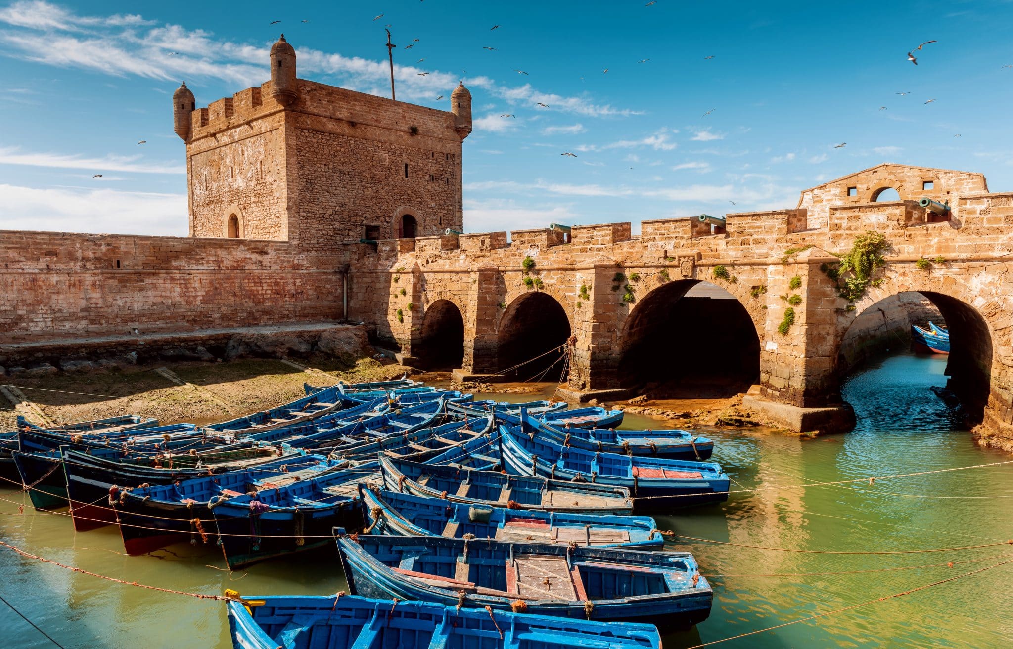 citadelle_essaouira-scaled